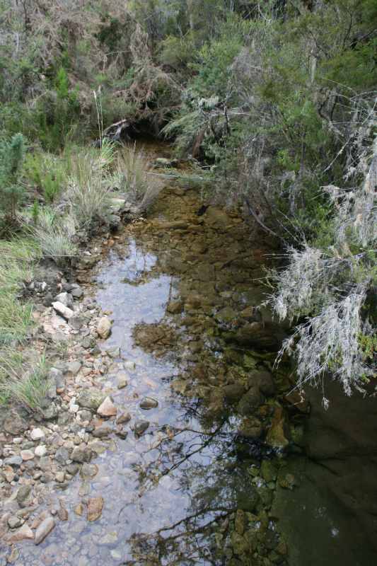 Nieuw-Zeeland 2011 - 1045